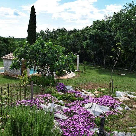 Cottage Al Merlo Olivo Буйе Экстерьер фото