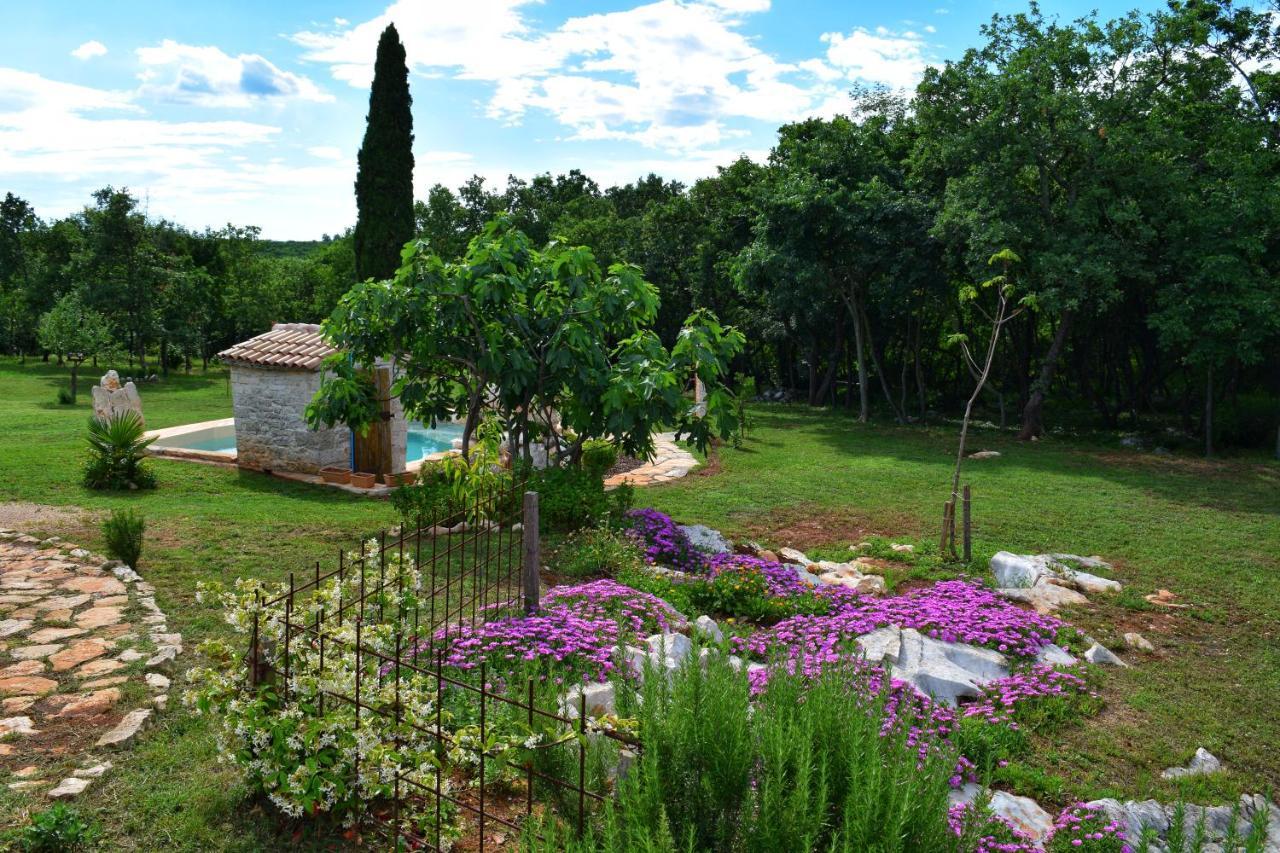 Cottage Al Merlo Olivo Буйе Экстерьер фото