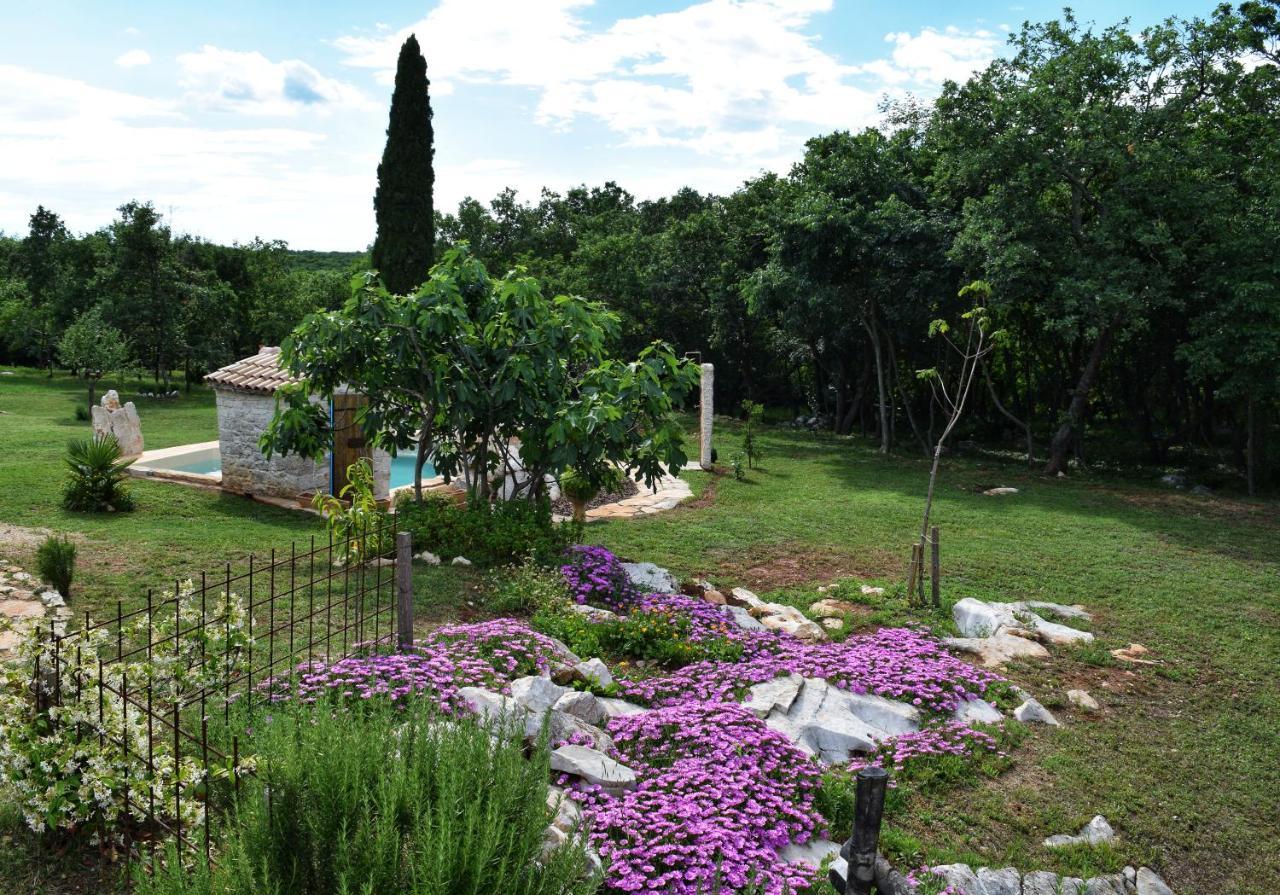 Cottage Al Merlo Olivo Буйе Экстерьер фото