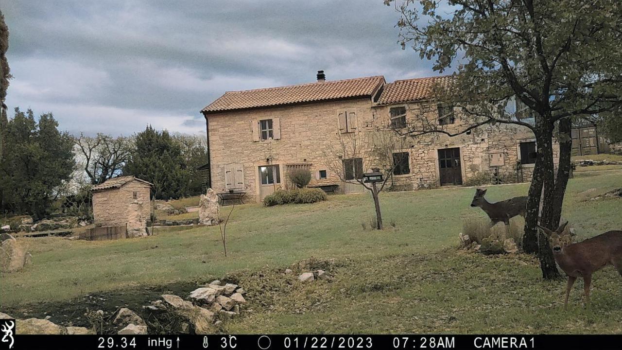 Cottage Al Merlo Olivo Буйе Экстерьер фото